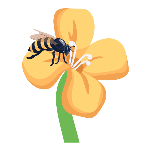 Pollination & Gardens